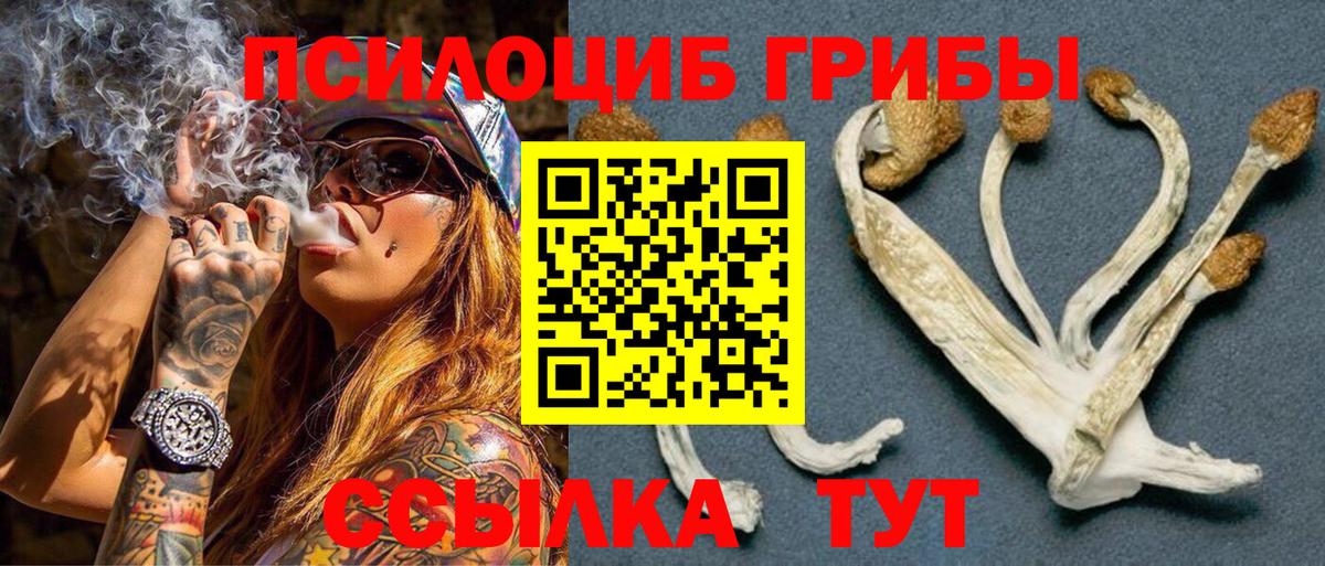 Псилоцибиновые грибы GOLDEN TEACHER  Вход с VPN  Кыштым 